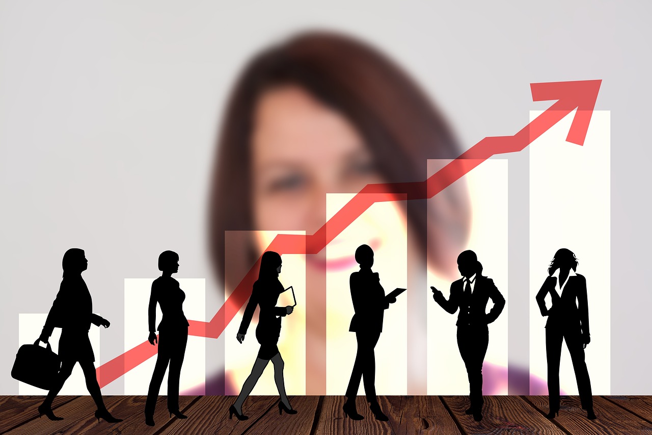 commissaire aux comptes